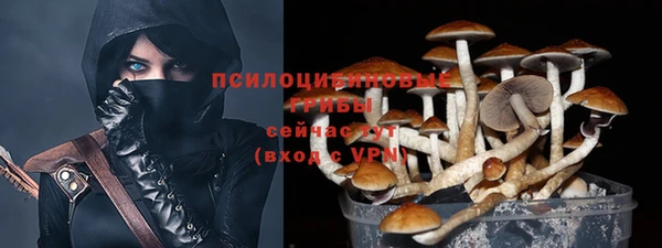 ALPHA PVP Вязники