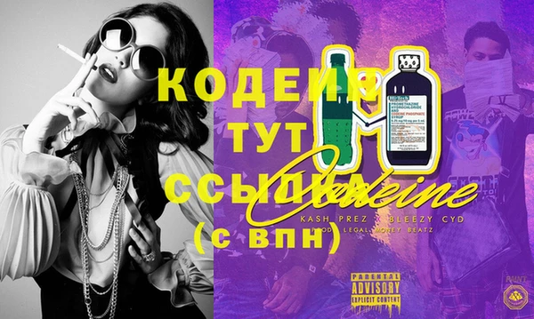 прущая мука Вяземский